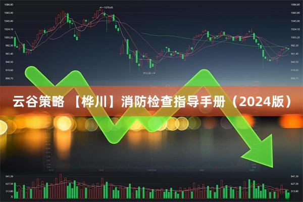 云谷策略 【桦川】消防检查指导手册（2024版）