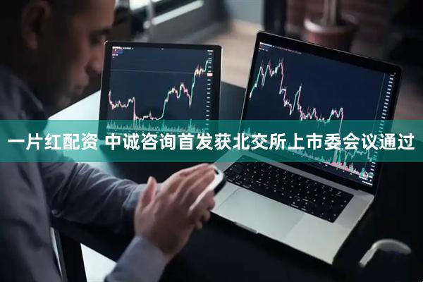 一片红配资 中诚咨询首发获北交所上市委会议通过