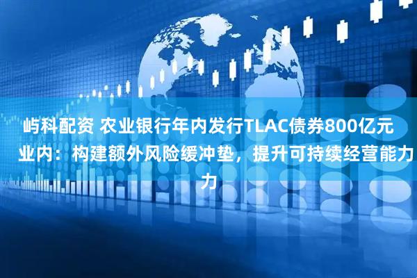 屿科配资 农业银行年内发行TLAC债券800亿元   业内：构建额外风险缓冲垫，提升可持续经营能力