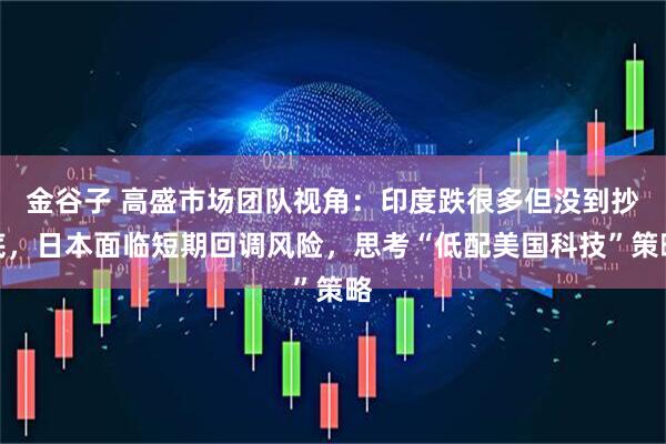 金谷子 高盛市场团队视角：印度跌很多但没到抄底，日本面临短期回调风险，思考“低配美国科技”策略