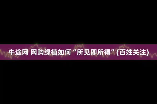 牛途网 网购绿植如何“所见即所得”(百姓关注)
