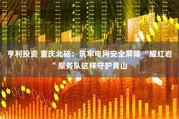 亨利投资 重庆北碚：筑牢电网安全屏障 “耀红岩”服务队这样守护青山