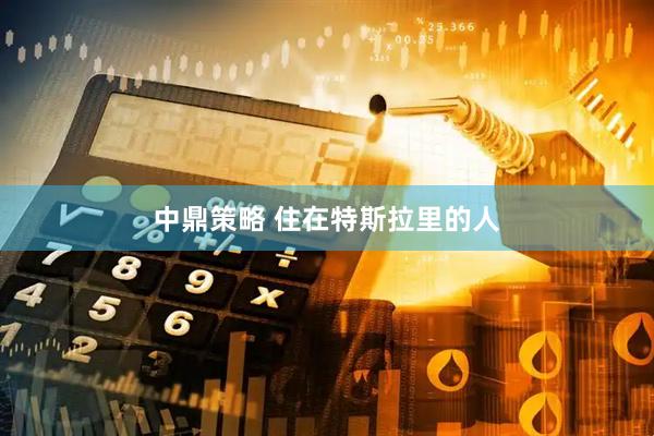 中鼎策略 住在特斯拉里的人